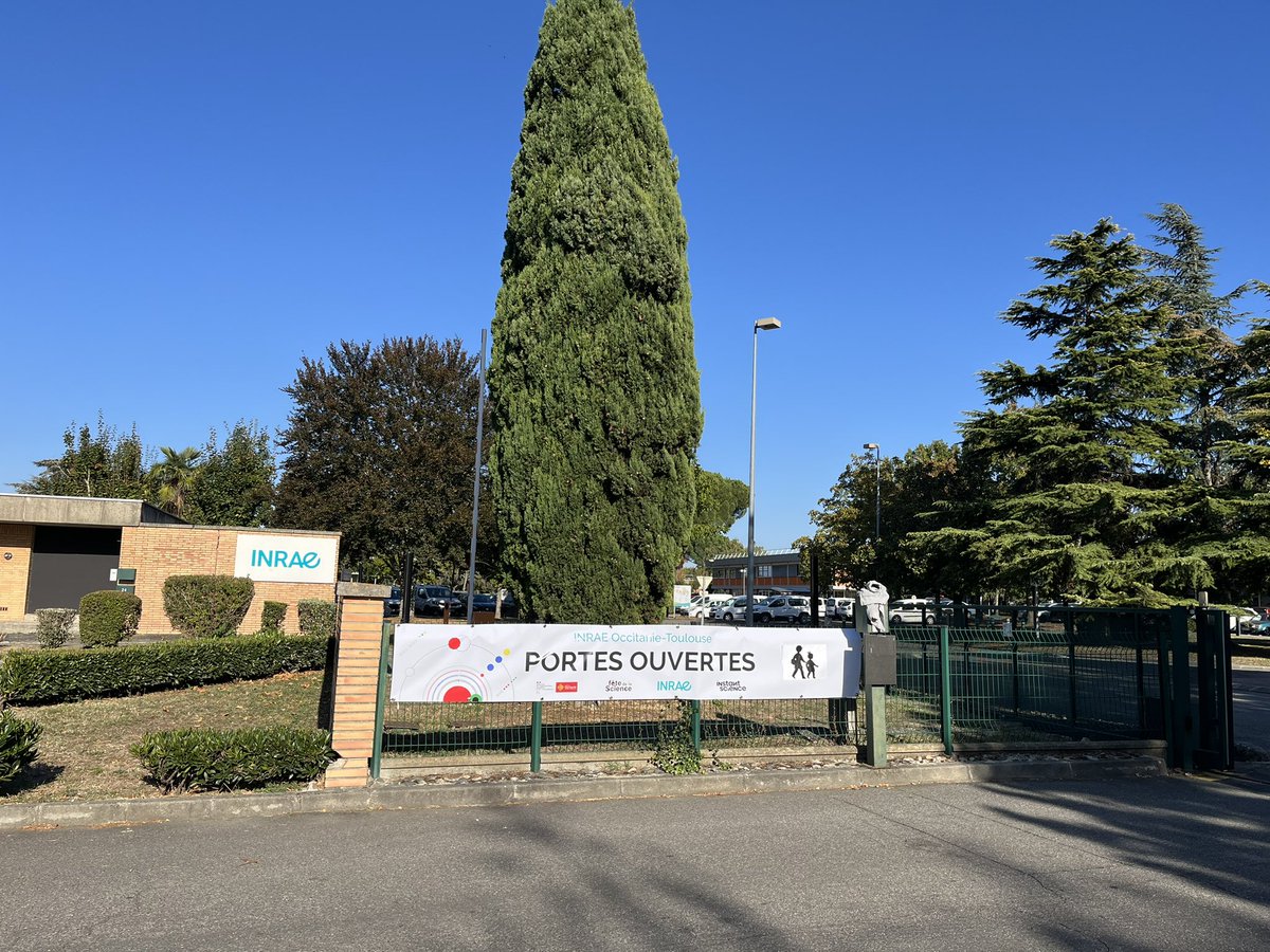 INRAE_Tlse's tweet photo. [#FDS2023] 🤩Ça y est, on est prêt à accueillir les 450 élèves sur nos 11 animations ‼️
Au programme : décryptage des bactéries, athlètes microscopiques, lapins, pollinisateurs, drones, tracteurs et bien d'autres encore 🦠🐇🐝🚜 https://t.co/XO2rifXq6u