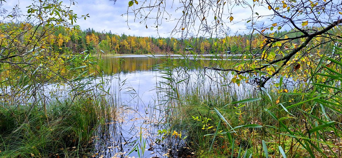 Tänään vietetään #maailmanmielenterveyspäivä'ä! 💚Mielenterveyttä voi edistää työpaikoilla:
🧩Huolehdi työympäristön riskien arvioinnista
🧩Mahdollista työn ja muun elämän yhteensovittaminen
🧩Anna mahdollisuus uuden oppimiseen ja työssä kehittymiseen
#mielenterveys #työelämä