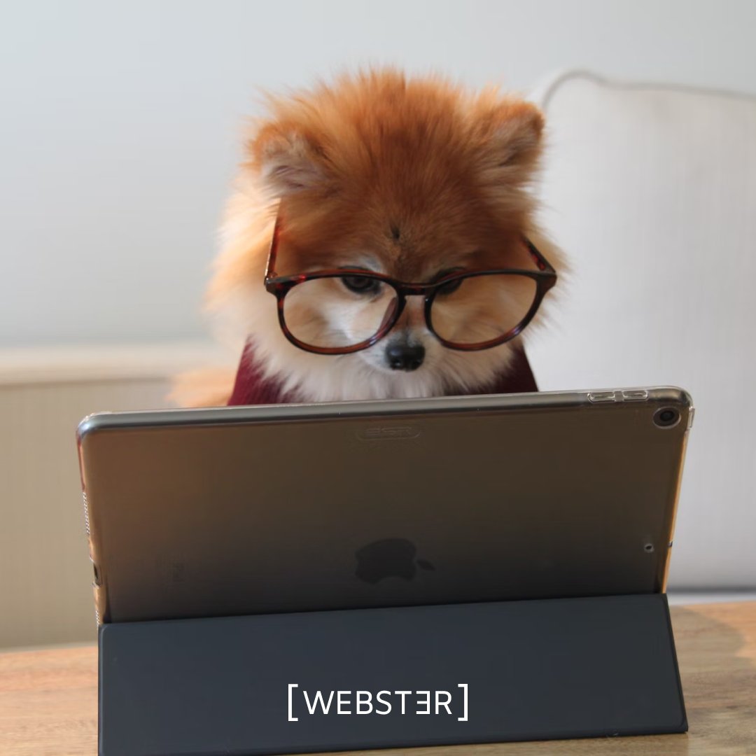 websterit_ro's tweet photo. ✅ Puneți puterea tehnologiei la dispoziția afacerii dumneavoastră. Cu aplicațiile software dezvoltate de noi, veți obține eficiență sporită, procese streamline și rezultate remarcabile.

💡 Contactează-ne aici: https://t.co/rvDK5SPvrB

#websterit #site #seo #marketing #software https://t.co/lI6VYO7NuY