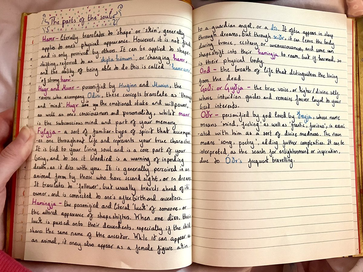 And some notes on concepts of the soul in early medieval Norse culture