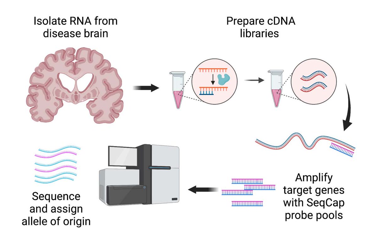 Bio-protocol tweet media