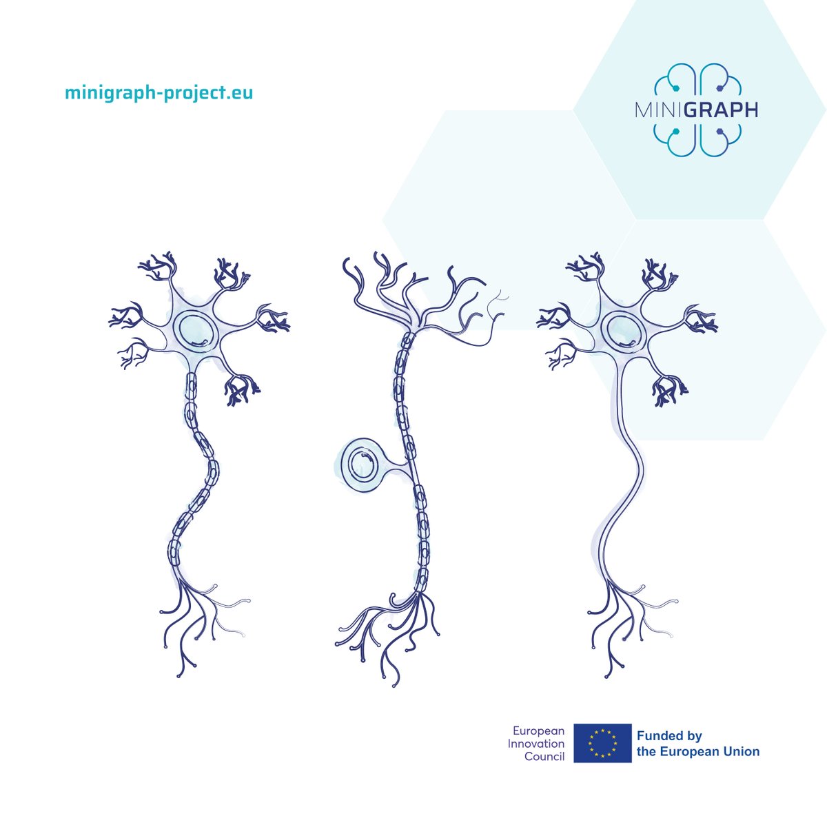 Our #MINIGRAPH prototype aims to overcome the most important barriers that result in the rejection of current implants to treat neurological disorders.

They are

▪️  smaller,
➰ more flexible
✅ and biocompatible.

Check out our website! 👇

🔗 minigraph-project.eu