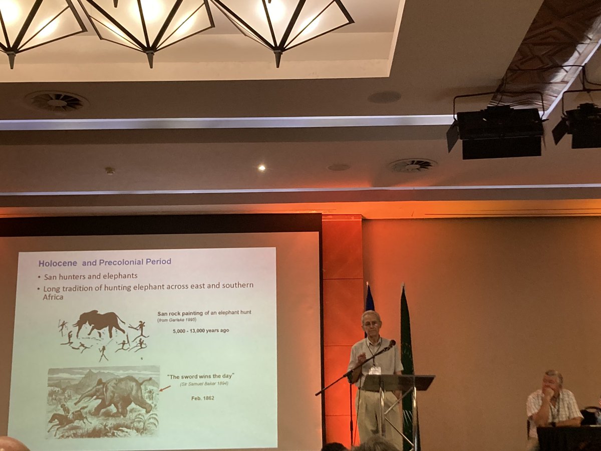 Long history of elephant hunting and ivory trade in Africa - predating colonisation - David Cumming speaking at the African Wildlife Consultative Forum @WildlifeEconomy