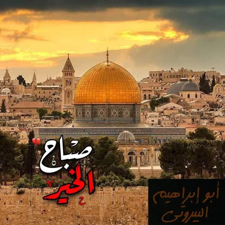 didimoni3's tweet photo. @kawar_abbas https://t.co/tvZpf7mPxN