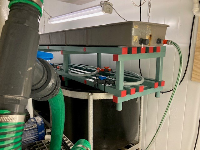BIORAS_SHRIMP's tweet photo. Very fruitful meetings in Bergen where Vincenzo Zonno (Unisalento), Atle Foss (Ava Niva) and Kristina Hauglang (University of Bergen), discussed how to improve the RAS efficiency and management, with particular emphasis on solid removal and sludge thickening, for future re-use https://t.co/TxJMROUs3z