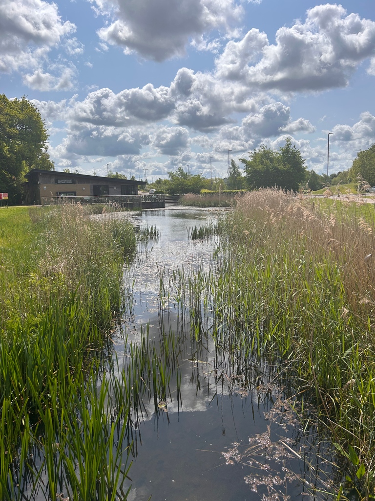 Today is World Mental Health Day. It is important to look after your mental health at work. One way to do this is to take breaks throughout the day. The Waterside Café provides a great space to take a break. 

#WorldMentalhealthDay #Waterside #Norfolk #Norwich