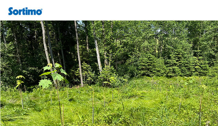 SortimoFR's tweet image. 🌿La durabilité en action ! Sortimo x Green Balanced🌎
Ce partenariat est une nouvelle étape sur la voie du développement durable et de la sensibilisation à l'environnement. 💪💚
#Sortimo #TogetherForABetterFuture