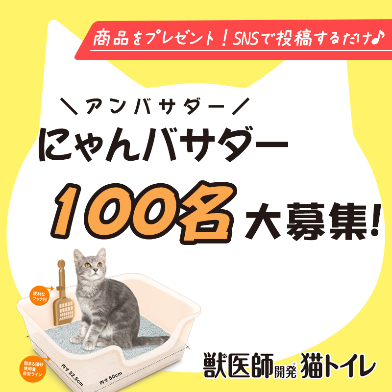 Petsmile_cat's tweet photo. 🐱【にゃんバサダー100名大募集】🐱
獣医師開発猫トイレを使ってくれるモニター100名を募集！

▶エントリー方法
応募フォームから簡単なアンケートにご回答いただければ完了！

詳しくは、記事をチェック☝️👀
https://t.co/dlvvvo9aIz https://t.co/x9QFITHJxr