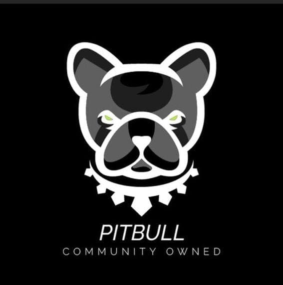 Pit_Army's tweet photo. @cryptogems555 Did you really forget us !! ? its #PITTOBER @BSC
$pit https://t.co/VrcPYV0FLL
