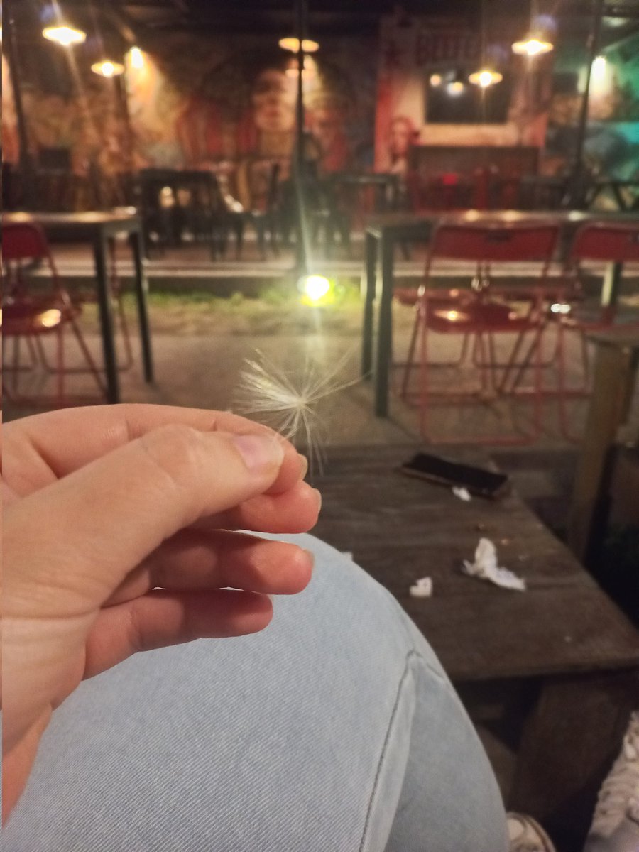 Nada es casualidad