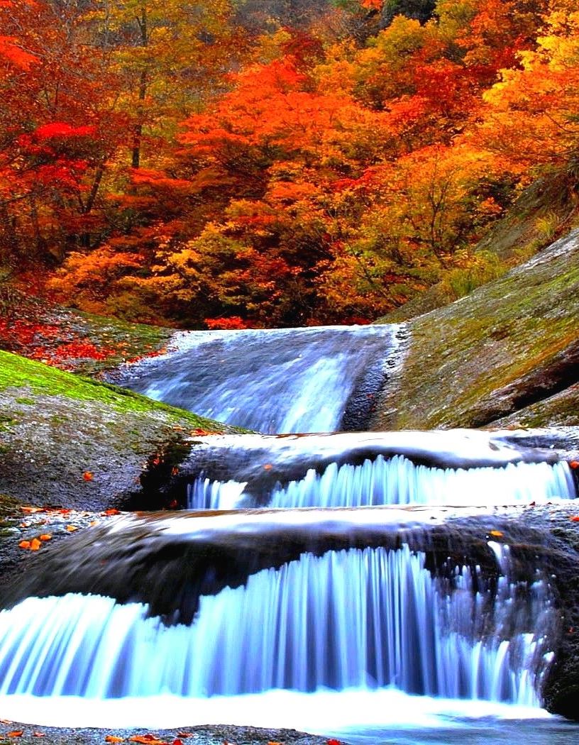 " Autumn falls "  🍁  ( long exposure )