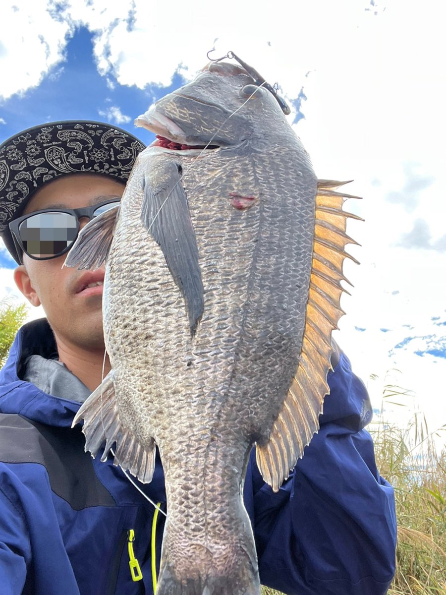 PACORIN85's tweet photo. いなっこ大量発生でシーバス釣れる気がしない…
チヌに変更🐟
チョンチョンでドーン🎣
2キャッチ
#湾奥河川 #シーバス #チヌ #DUO #22ステラ4000mhg #モンスターストリーム952tr https://t.co/IVMXgFHZoZ