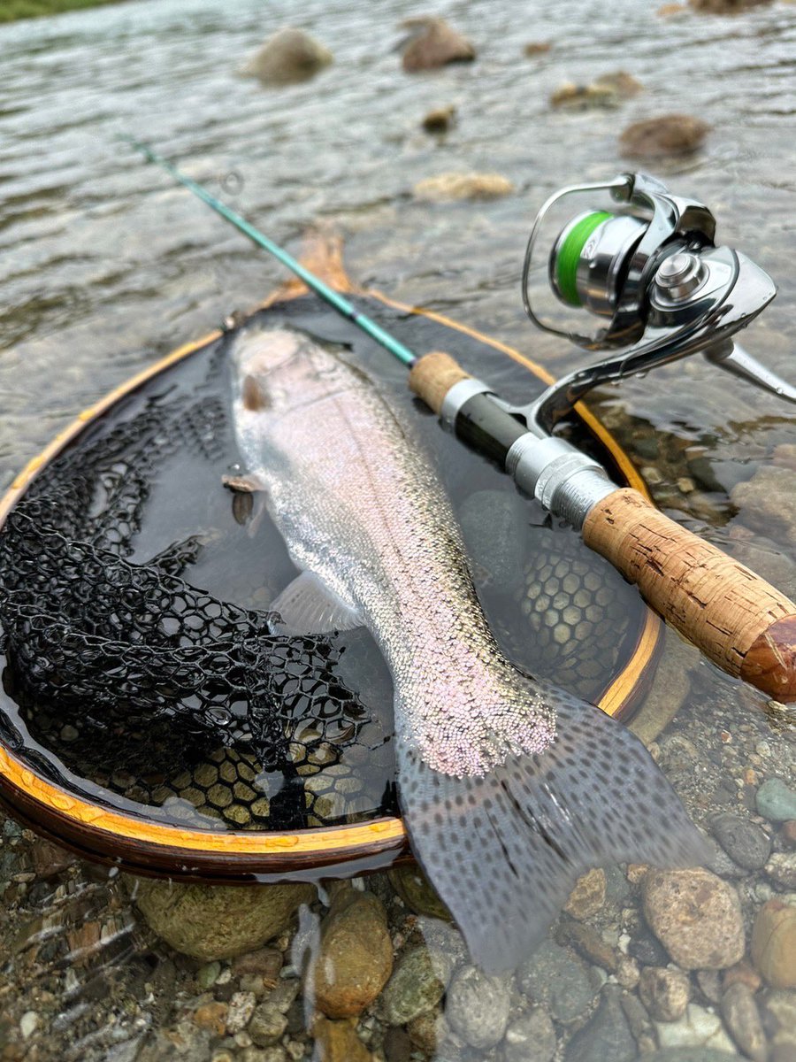 palms_global's tweet image. Rainbow Trout with Spin Walk QR in Japan 🇯🇵
Rod: Sylpher 53UL
Lure: Spin Walk QR 4.7g 
#palmsfishing #rainbowtroutfishing #trout #troutfishing #troutlure #troutlures #truite #trucha #trota #forelle #adventuretravel @palms_japan