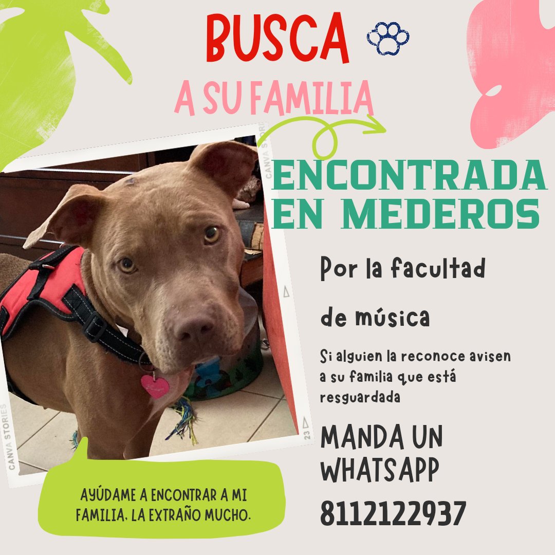 Monica P tweet media