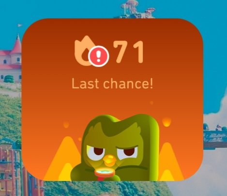 Jon🐢 tweet media