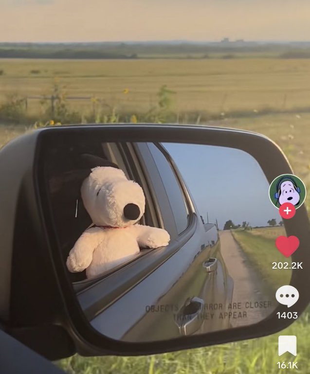 daylightlvrs's tweet photo. he’s listening to fine line https://t.co/A4M26YOgdx