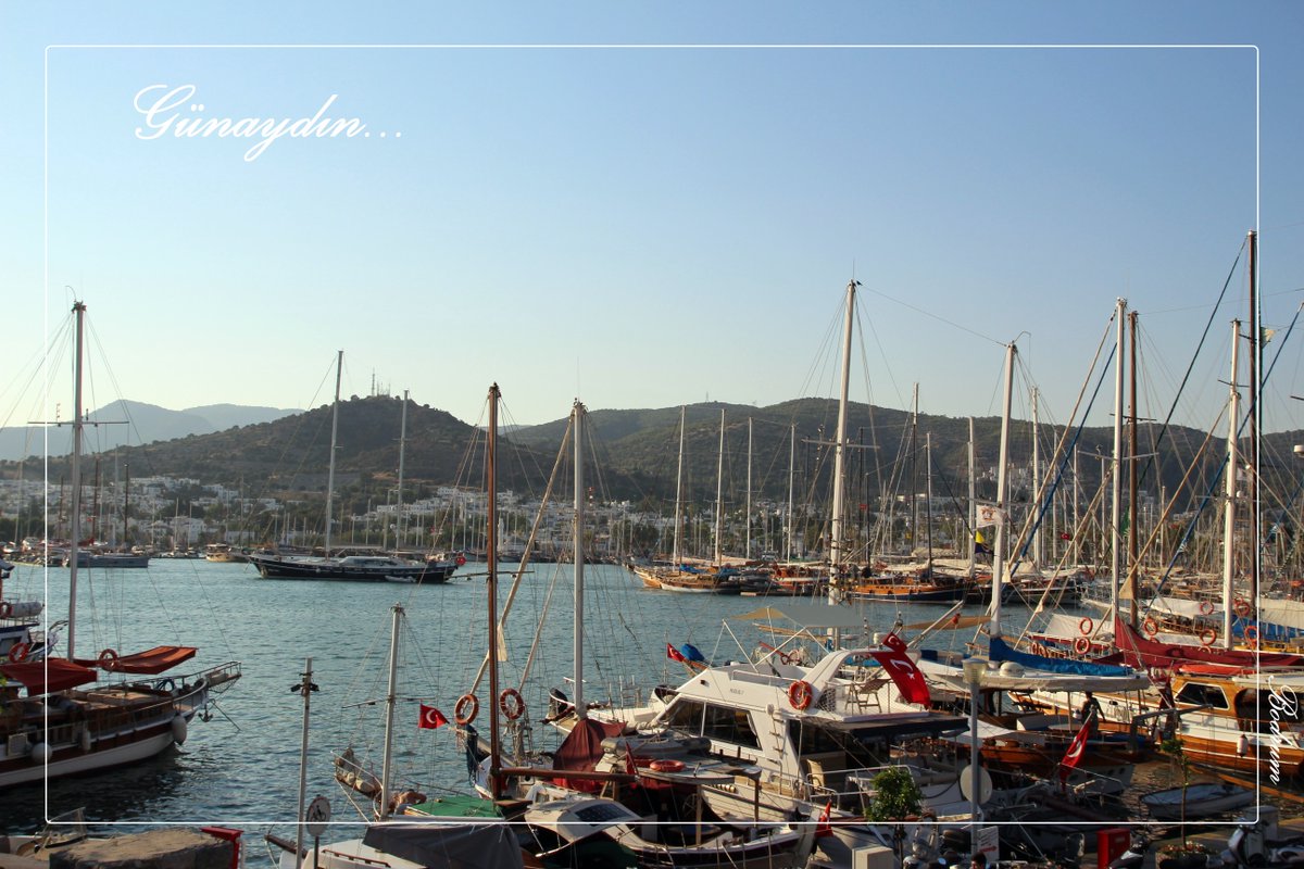 Bu sabahların bir anlamı olmalı! 

Kaldırıyorsa tutup elinden, 
Devam et diyorsa kaldığın yerden,
Bir kahve kokusu yetiyorsa gülümsemene,
Bir sokak kedisi hatırlatıyorsa direnmeyi, 
Solacağını bile bile açan bir gül kadar yaşamaya cesaretin olmalı...  

Günaydın...

#iyisabahlar