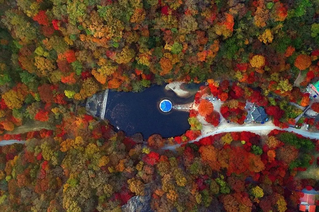 DermalMask's tweet image. Beautiful flower!