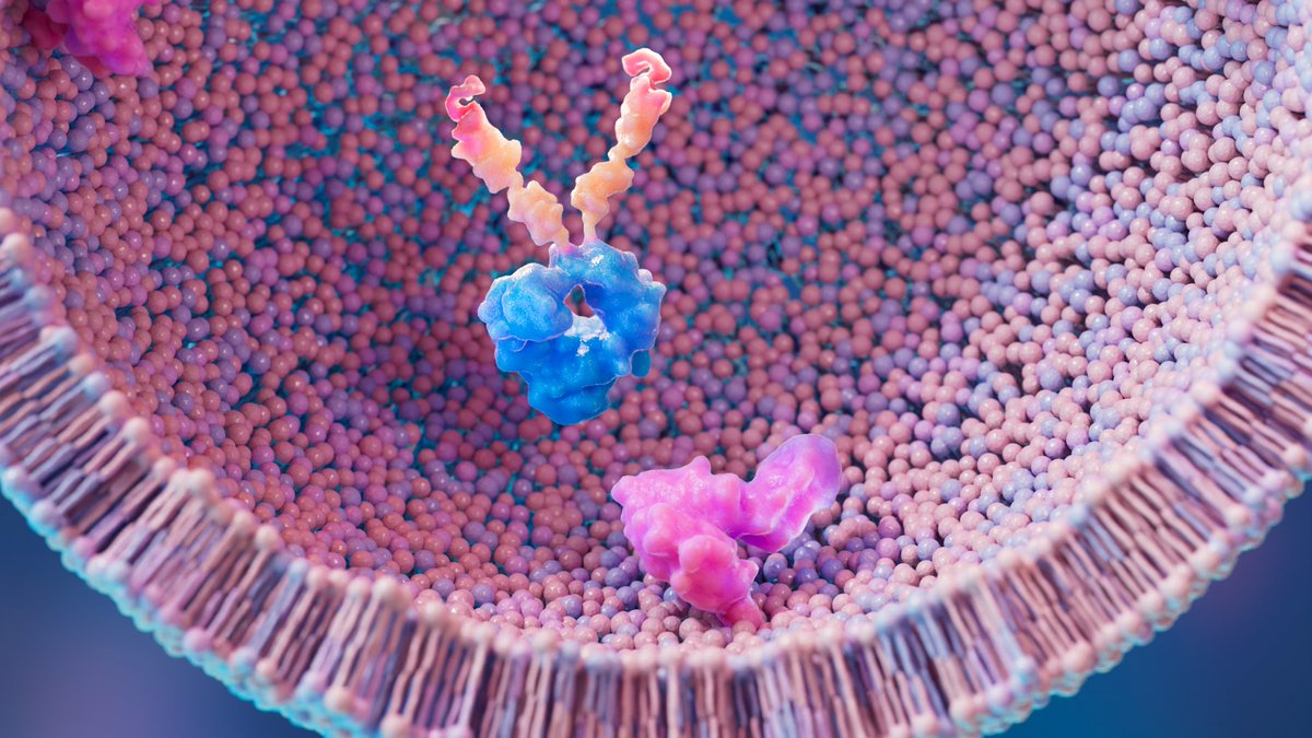 gaogaibaigu's tweet photo. candy-colored proteins and lipid bilayer, blender for science #blender #biovisualization #Medical #MolecularNodes #3D https://t.co/iOqMQeToAY