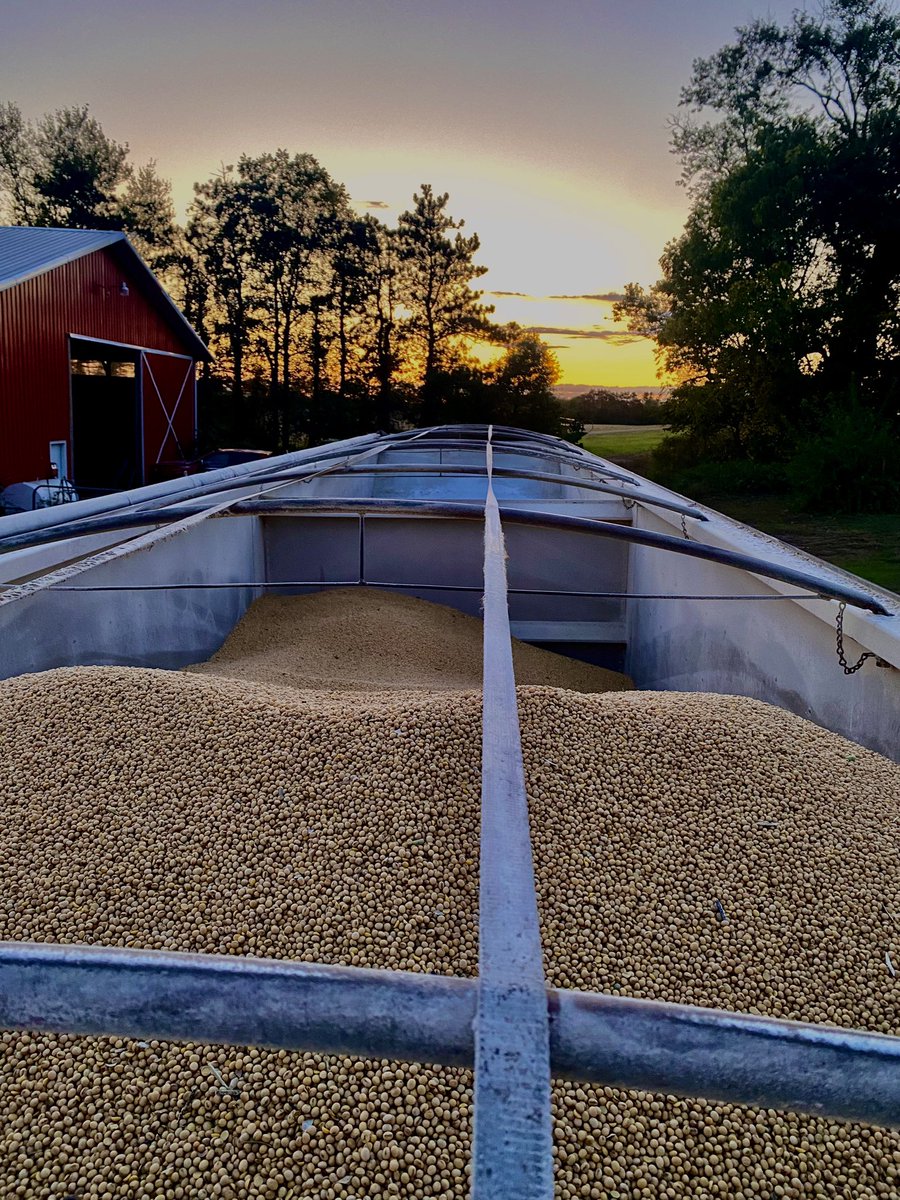 Soybean harvest. #harvest23 #AgTwitter #farmX #farmphotos