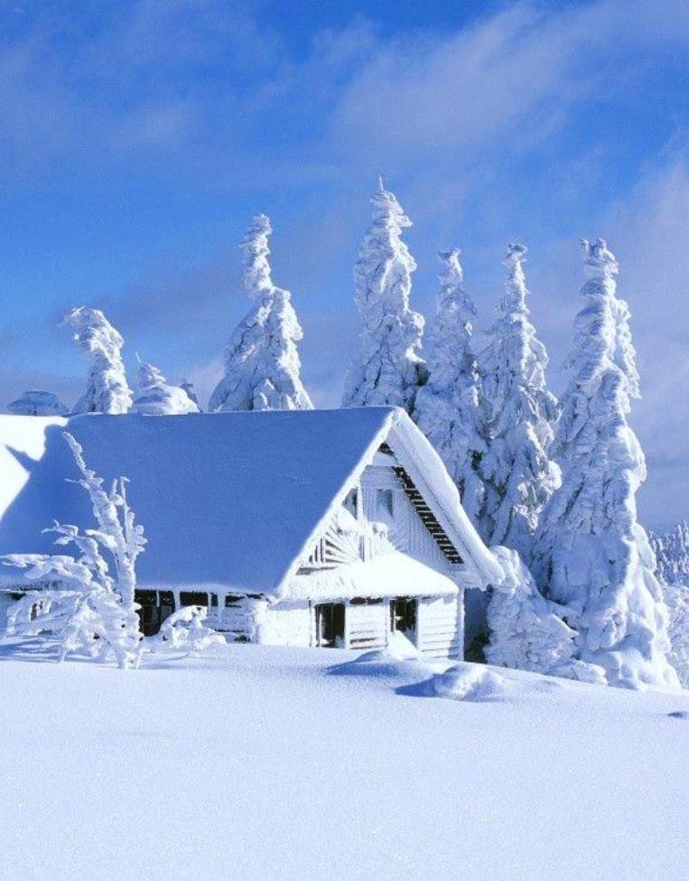 LoveSongs4Peace's tweet photo. " In the near future in Finland "  🇫🇮 https://t.co/Q37lb8Jvr6