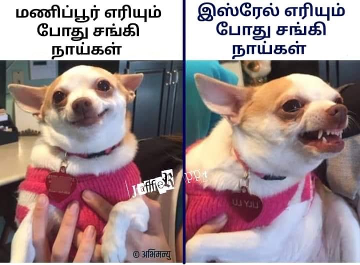 Rafick86680503's tweet photo. https://t.co/nfjnu2qg5i