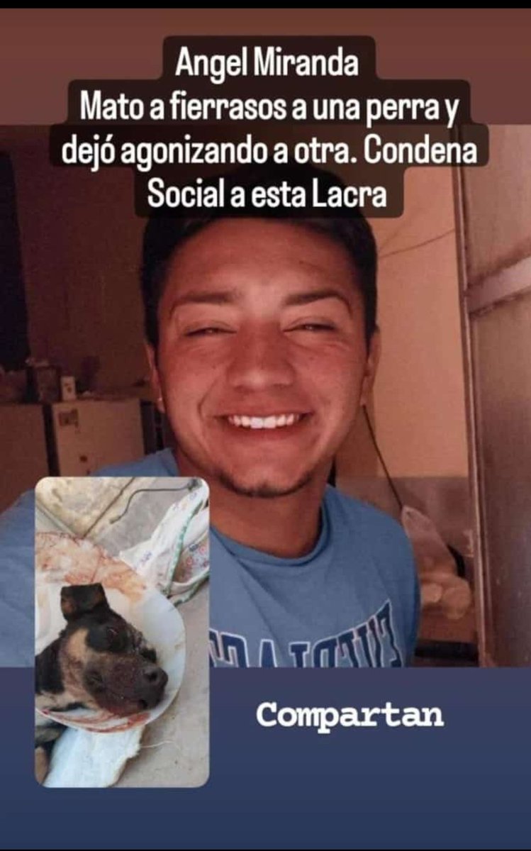 SOS UNA BASURA DE PERSONA , RATERO.