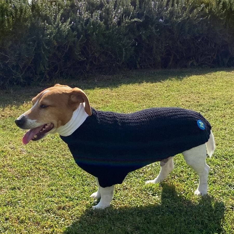 crealandia's tweet photo. Stylish knitted dog sweater. Back length 45cm
https://t.co/b51kXb07lQ
#sweater #cat #animals #crealandia #handmade #gift #pet #warm #dogs #custom #diy #shop #pets #catsweater #animalsweater #clothes #catclothes #animalclothes #dogclothes #cathat #sweaterdog #sweateranimal https://t.co/CJZPRDpglD