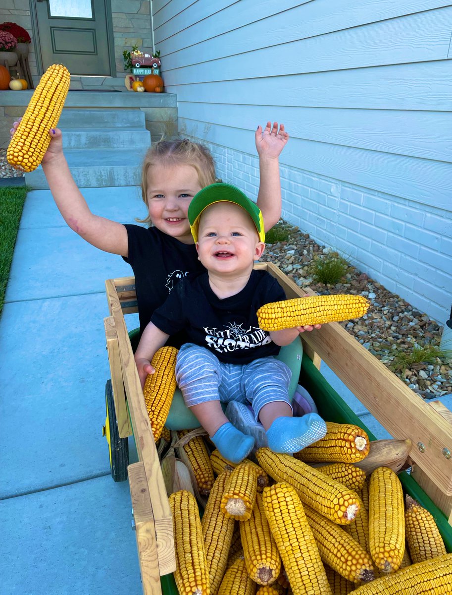 Matt Dolch tweet media