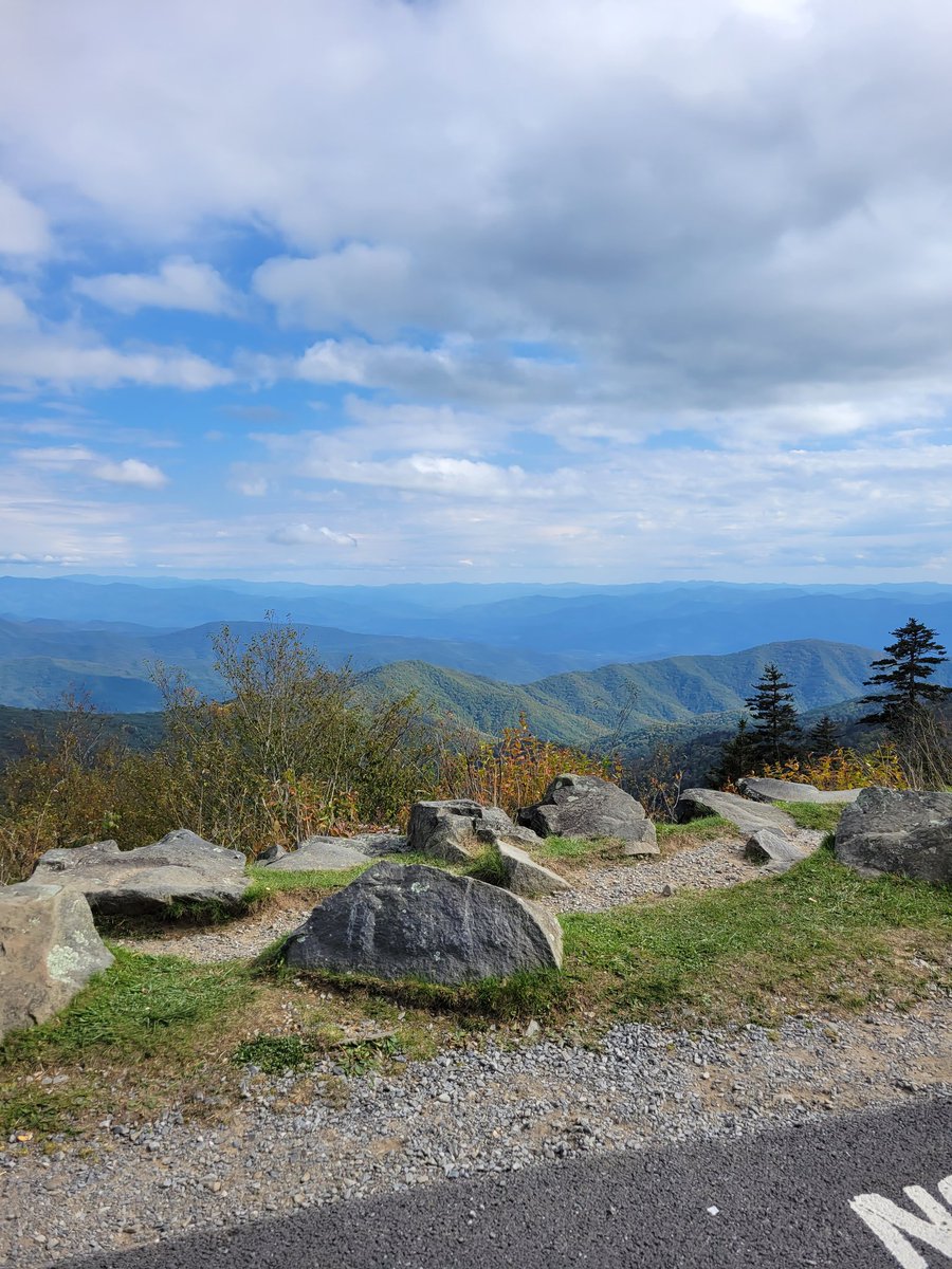 Miss Rubie tweet media