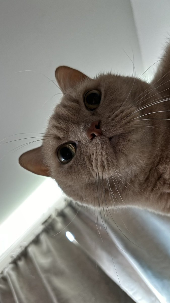 聽說是你們今年最後一個連假？