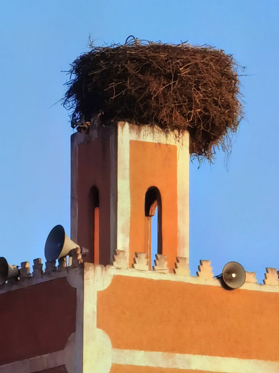 RobbieDegen tweet media