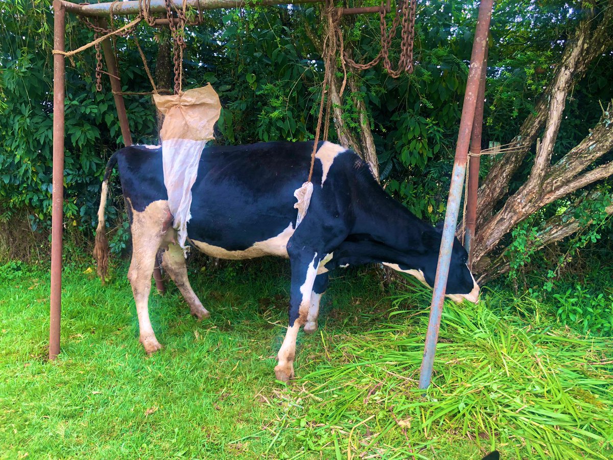 Demi Farms tweet media