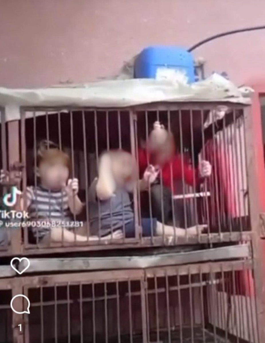 IronMan_1900_'s tweet photo. @netanyahu Cutting off the heads of Israeli soldiers, putting Israeli children in cages, brutal treatment of an Israeli female officer, We have said many times that Iran's mullahs' government is the godfather of ISIS and Hamas.
#مهسا_امینی
#IRGCterrorists https://t.co/9UsAqs9hfo