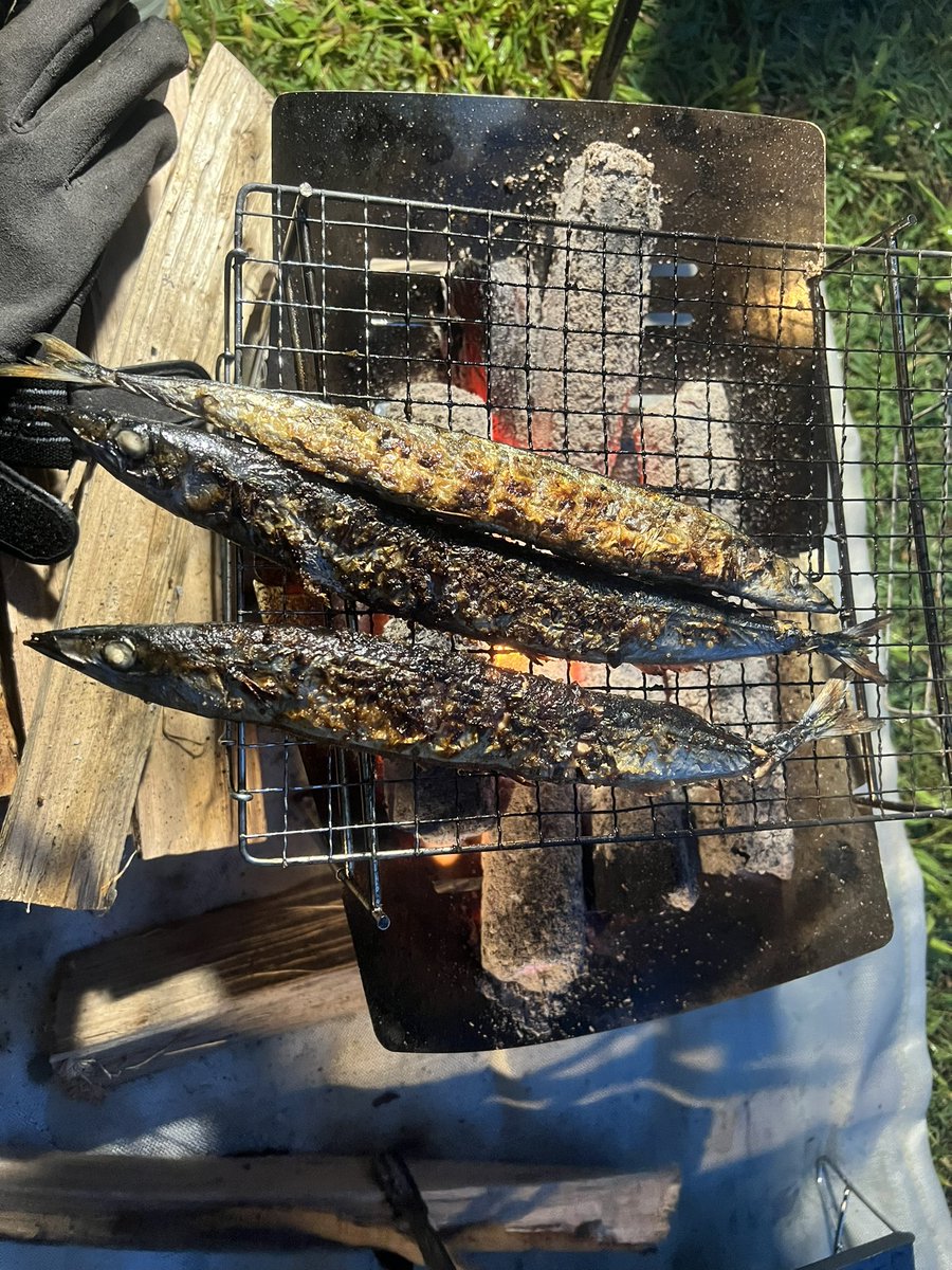 KSaKuRa1994's tweet photo. 焼きサンマキャンツー行って来たよ😁

炊き込みご飯と一緒に食べたら美味しかった🥰🥰🥰

次はどこ行こ？？
#バイク #バイク女子 #バイク乗りと繋がりたい #バイク好きな人と繋がりたい #Ninja #ninja #ninja1000 #さんま #焼きさんま #キャンプ #キャンプツーリング #キャンプ好きと繋がりたい https://t.co/h6yeE0ptbh