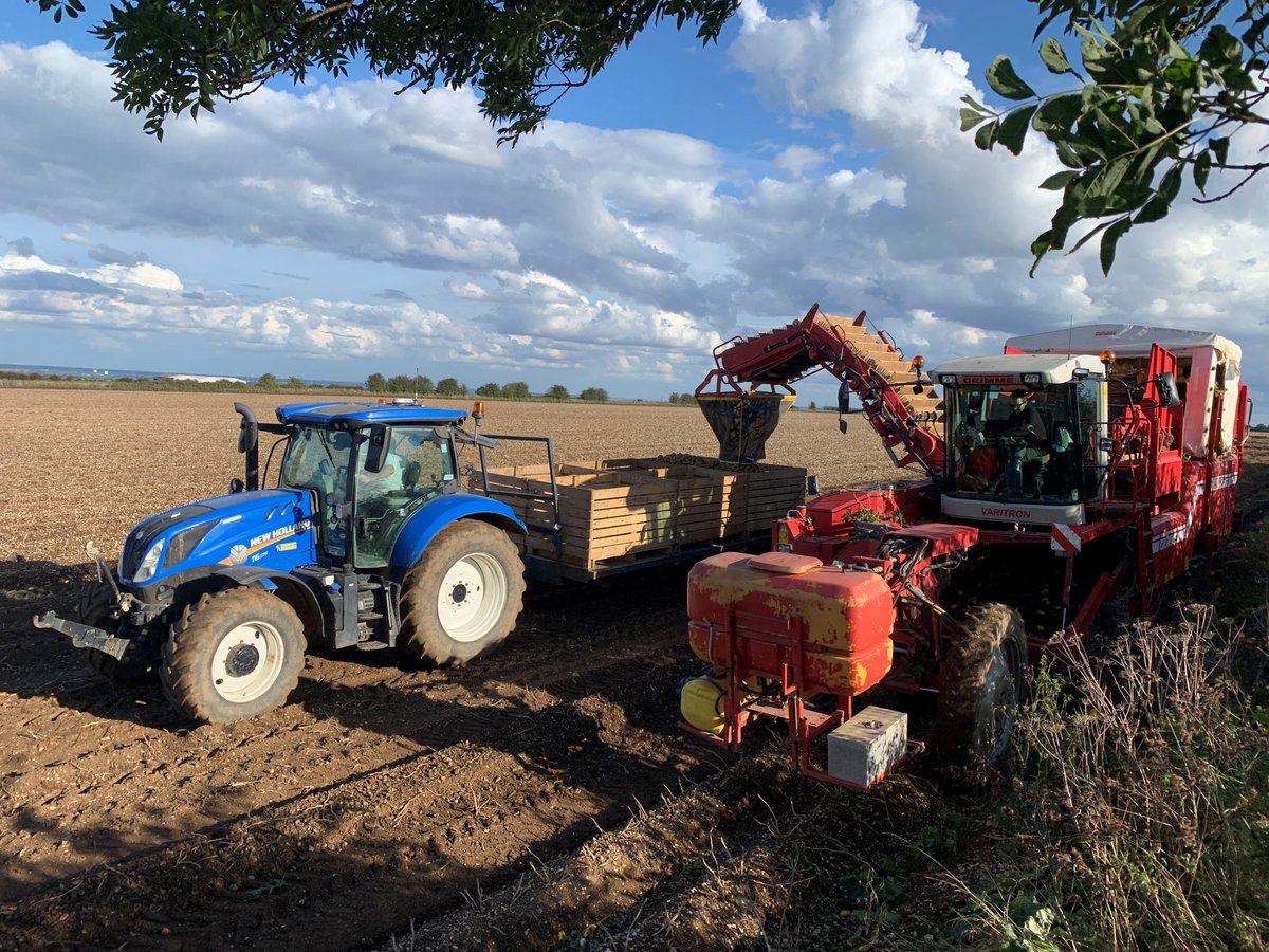 BennettPotatoes's tweet image. It’s been a busy few days of lifting thanks to the extraordinarily good weather for this time of year🚜 It’s allowed us to make some great progress on this seasons crop 🙌🏻 We hope everyone is able to make the most of it while it lasts ☀️