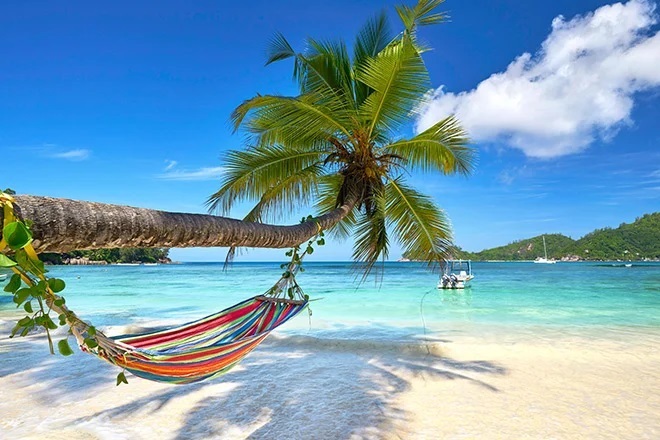 ecer_org's tweet photo. IEEE technical sponsored International Conference on Artificial Intelligence, Computer, Data Sciences and Applications (ACDSA 2024) will be held on 1-2 February 2024 in Seychelles, one of the paradise corners of the world.
Details can be seen here:
https://t.co/aXFiWGnG8d https://t.co/iTyFJ4R1SG