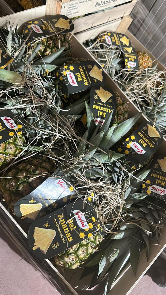C2CYACHTING's tweet photo. Sailing the breathtaking coastlines of Turkey? Ensure your yacht is stocked up with the finest local delicacies, fresh produce, and all essential supplies. Whether it's the freshest Aegean olives, sumptuous cheeses, or a special request, we've got you covered! https://t.co/fK87H8pAH8