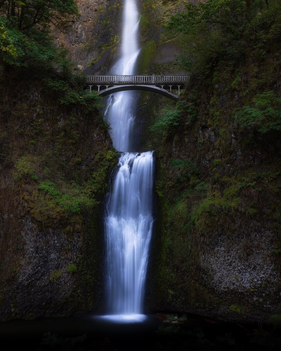 Classic Oregon views.
.
.
.
.
.
#multnomahfalls #oregon #pnw #oregonwaterfalls #oregonexplored #pnwcrew #traveloregon #pnwonderland #oregonpnw #oregonisbeautiful #traveloregon #onlyinoregon #oregonlife #discoveroregon #pacificnorthwest #visitoregon #bestoforegon #rawimpact