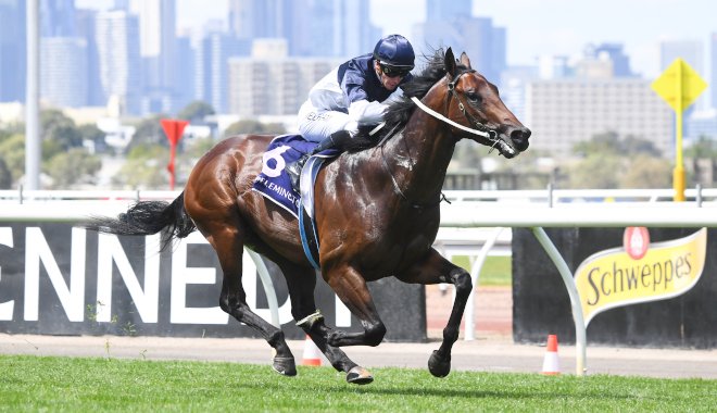 Prominent Trainer Michael Kent Jnr has indicated that stable stars What You Need and Globe will be out of action for the rest of Spring and will return in Autumn next year.

For full story, view link below.

jockeyhub.com.au/trainer-hub/pr…

#AusTrainerNews #TrainerHubAustralia #VICRacing