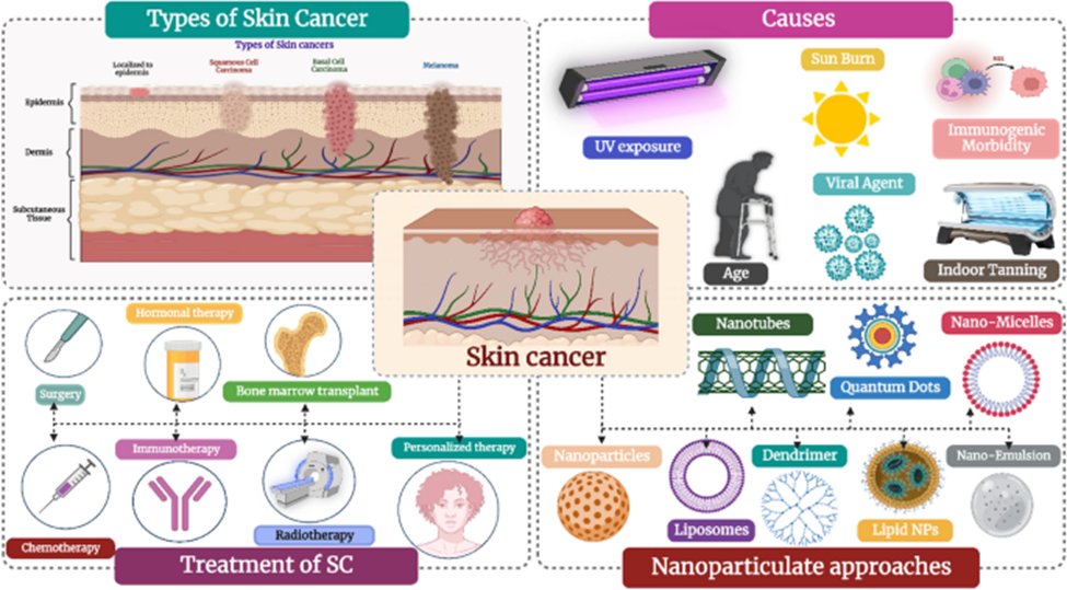 Phenomics_J's tweet photo. One image to review skin cancer
#Phenomcis #tumor #skin #skincancer #molecularcancer #cancer
https://t.co/UV4sZbDWpL https://t.co/T4pc4TGQux