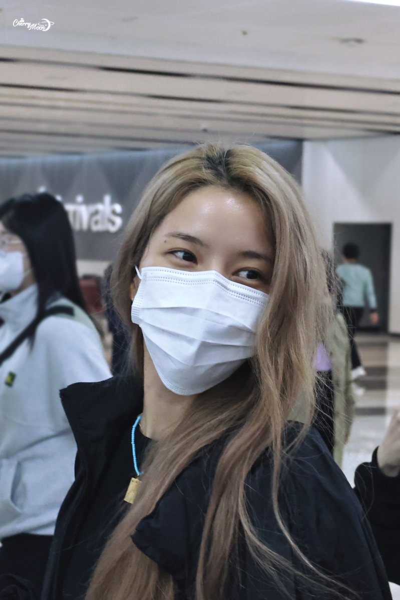 Cherry_ry0115's tweet photo. 231010
KIX▶️GMP

◠‿◠

#MAMAMOO #SOLAR
#마마무 #솔라 https://t.co/IuIHff3yTI