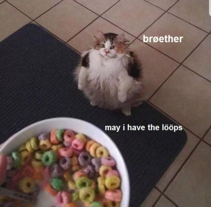 MrJustinJulien's tweet photo. @WholesomeMeme https://t.co/CMiA2y7bxr