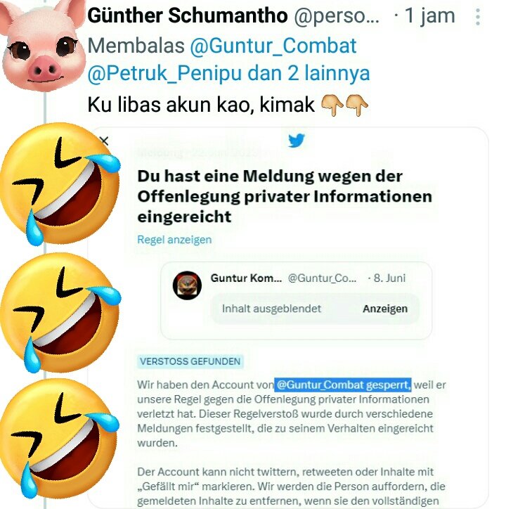 Guntur_Combat's tweet photo. @person_sandora @Petruk_Penipu @damianpenyulep @Resty_J_Cayah ank lomok2 lgi ttapan😍😍😗😗
🙈🙈🙊🙊👇👇
@Petruk_Penipu 🐒🐒🐶🐶🐩🐩🐷
@person_sandora 🐒🐒🐩🐩🐷🐷 https://t.co/WksBa4XbEA