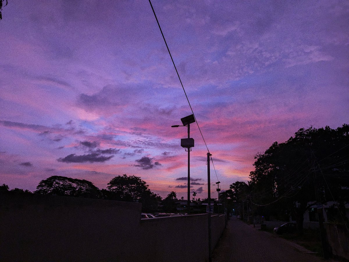 rnclicks019's tweet photo. 💜 https://t.co/rk1g04JjmV