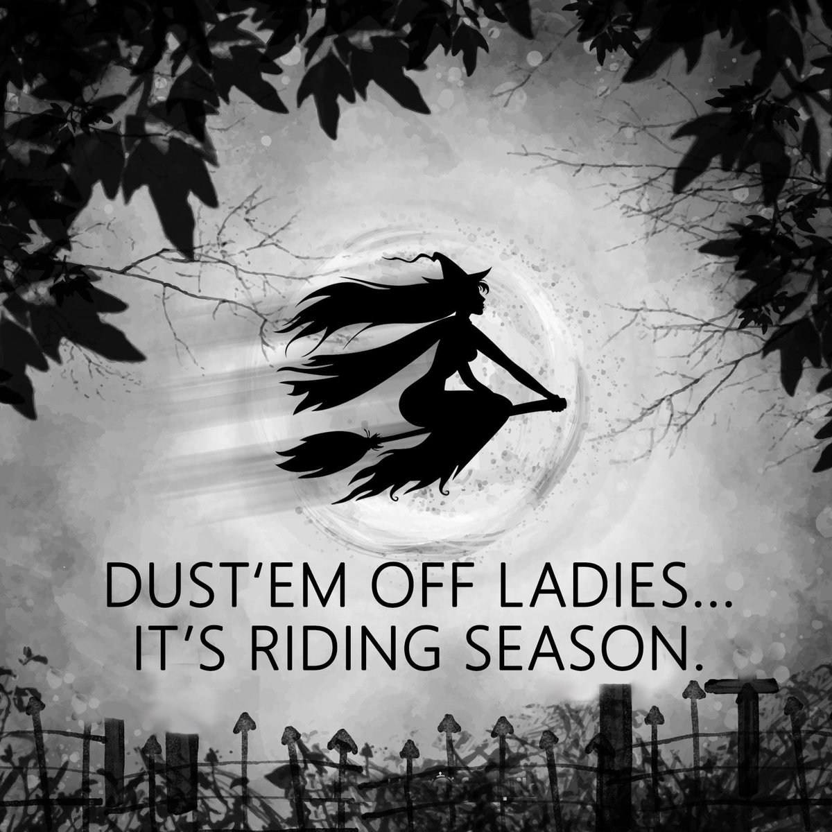 Hele goedemorgen allemaal 😻