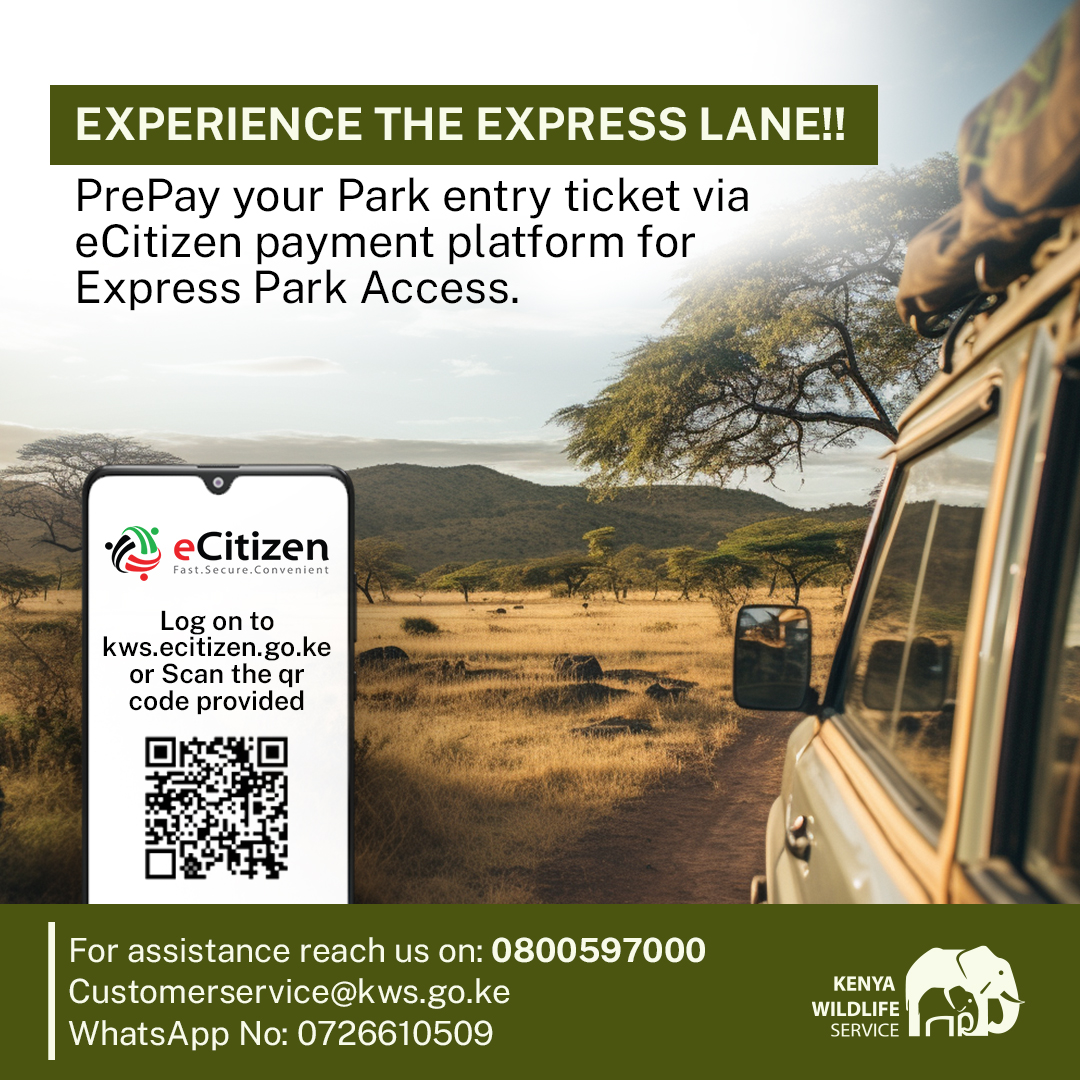 KWSKenya's tweet photo. Are you planning to explore Kenya Wildlife Service-managed national parks, reserves, and sanctuaries today? Create a personal account on the eCitizen platform, accessible at https://t.co/1dvCqiTJcK.  By making your park payments in advance, you'll enjoy a seamless and efficient entry experience.

For any questions or inquiries, don't hesitate to reach out to us. Our friendly customer service team is available via our toll-free number 0800 597 000 or you can drop us an email at customerservice@kws.go.ke.
#ExploreExperienceConserve #KenyaParks