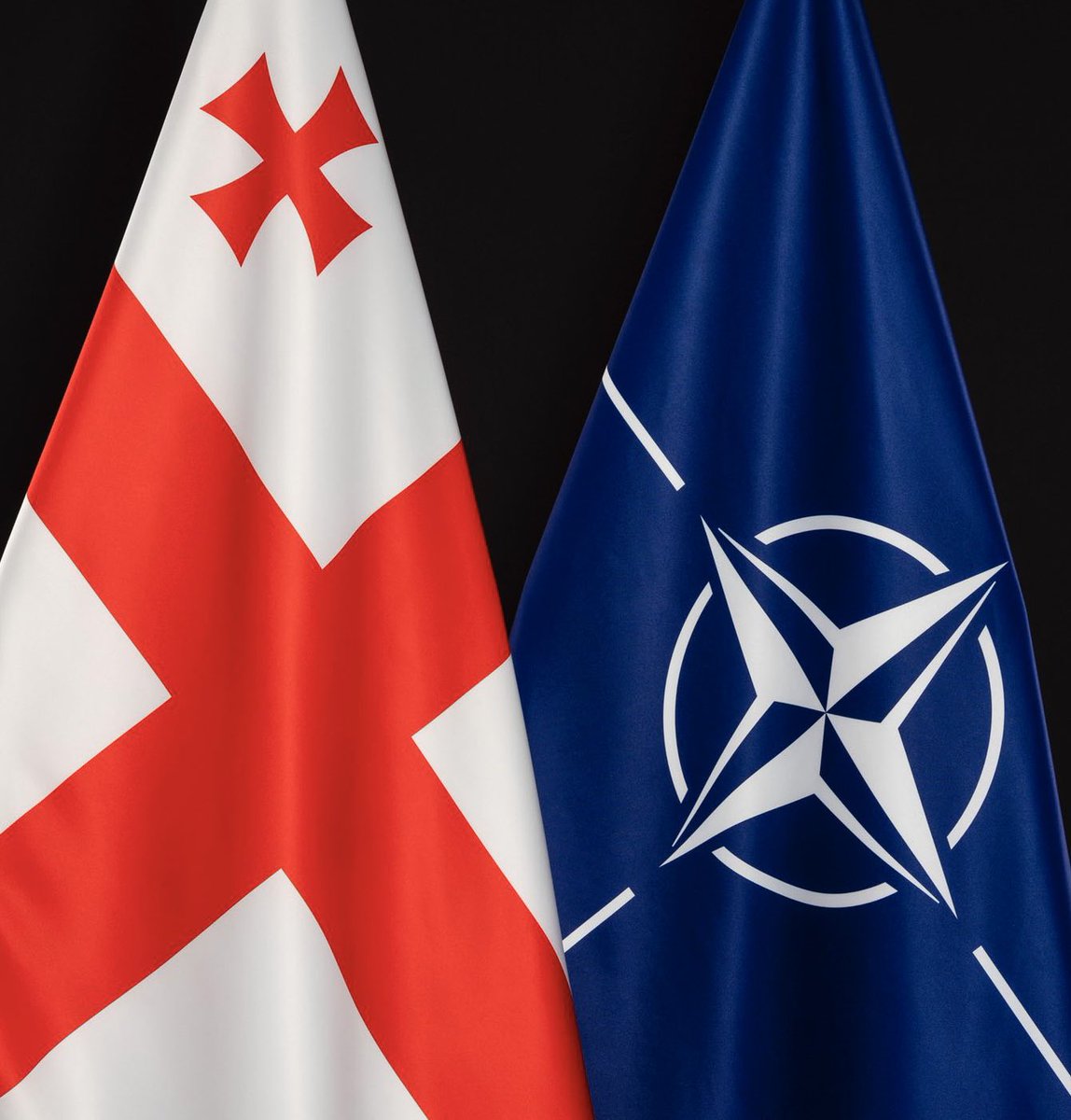 tsiskarashvili's tweet photo. #NATO Parliamentary Assembly  adopted a Resolution which denounces #Russia’s occupation of integral parts of #Georgia, condemns RUS plan to build a naval base in occupied #Abkhazia region of 🇬🇪, reiterates support for GEO’s 🇬🇪 territorial integrity &amp; its @NATO membership https://t.co/TH8iVjVSV2
