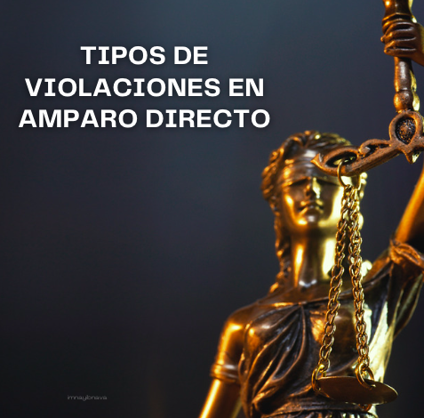 imnayibnava's tweet photo. Dentro del 𝗮𝗺𝗽𝗮𝗿𝗼 𝗱𝗶𝗿𝗲𝗰𝘁𝗼, existen diversos tipos de violaciones a derechos fundamentales.

 Un hilo para el chismecito jurídico. 🧵 https://t.co/fb5sj843fs