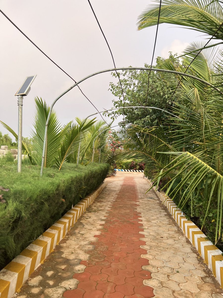 Hopeforsom's tweet photo. If you are in a beautiful place where you can enjoy sunrise and sunset, then you are living like a lord.
Baidoa,somalia https://t.co/pdCoIStl10